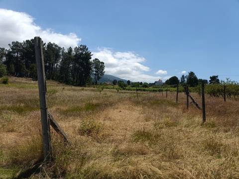 Quinta  Venda em Santa Marinha e São Martinho,Seia