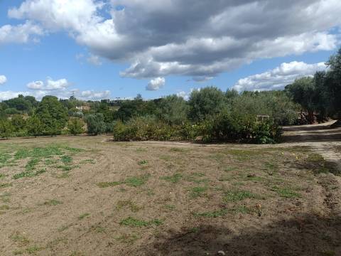 Terreno Para Construção  Venda em Paranhos,Seia