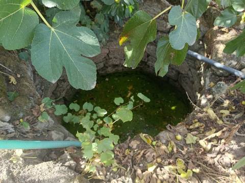 Terreno Para Construção  Venda em Paranhos,Seia