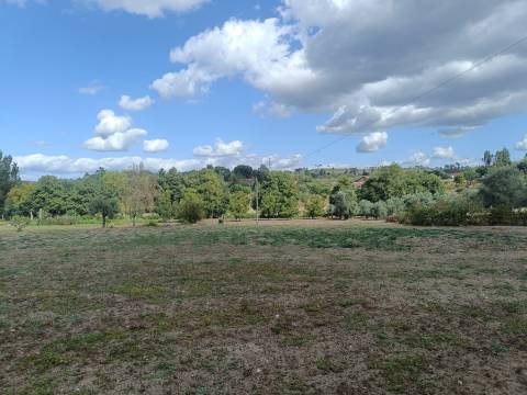 Terreno Para Construção  Venda em Paranhos,Seia