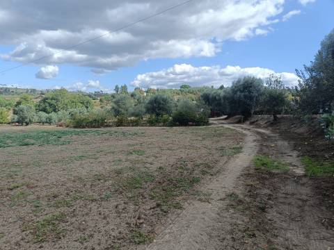Terreno Para Construção  Venda em Paranhos,Seia