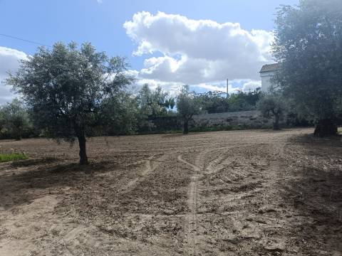 Terreno Para Construção  Venda em Paranhos,Seia