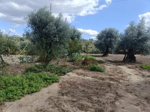 Terreno Para Construção  Venda em Paranhos,Seia