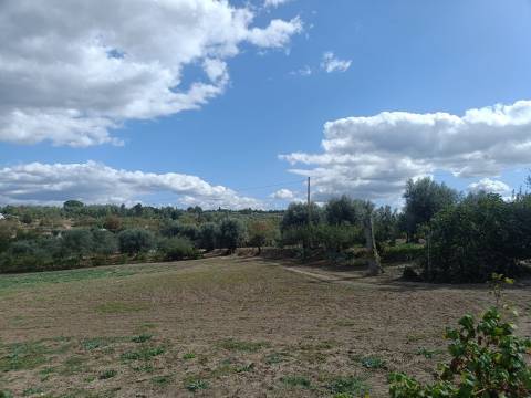 Terreno Para Construção  Venda em Paranhos,Seia