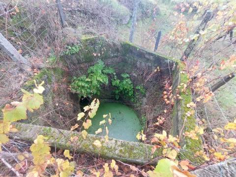 Terreno Rústico  Venda em Vila Nova de Tazem,Gouveia