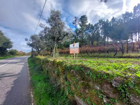 Terreno Rústico  Venda em Vila Nova de Tazem,Gouveia