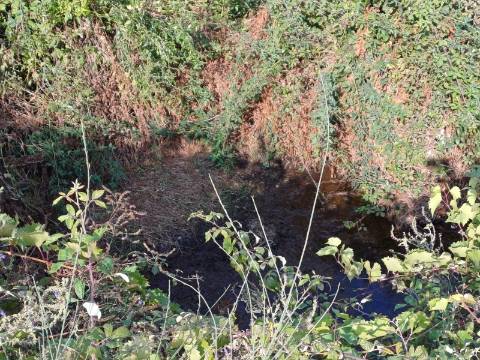 Quinta  Venda em Linhares,Celorico da Beira