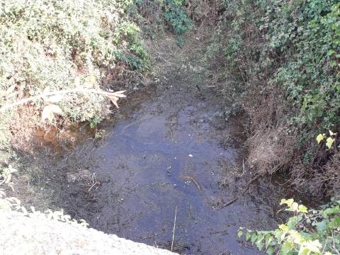 Quinta  Venda em Linhares,Celorico da Beira