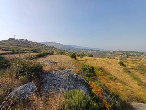Quinta  Venda em Linhares,Celorico da Beira