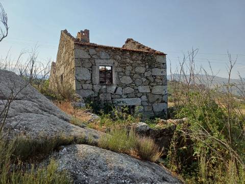 Quinta  Venda em Linhares,Celorico da Beira