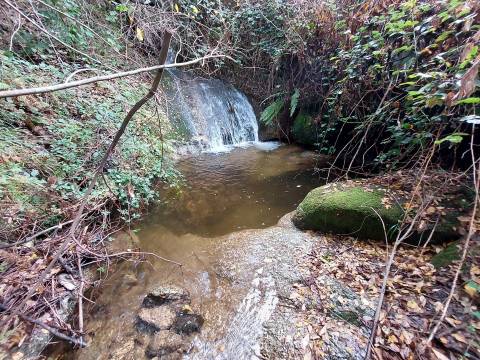 Quintinha com casa habitação
