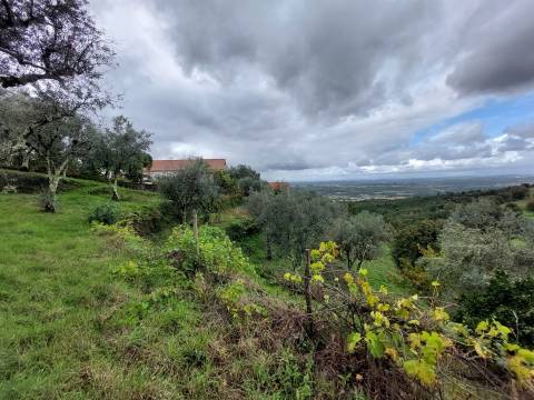 Quintinha com casa habitação