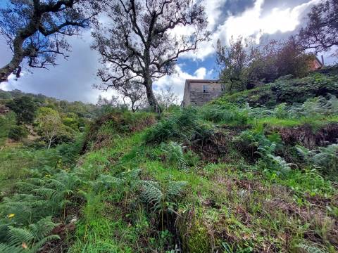 Quintinha com casa habitação