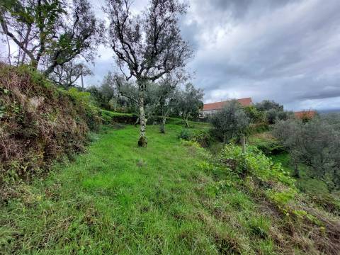 Quintinha com casa habitação