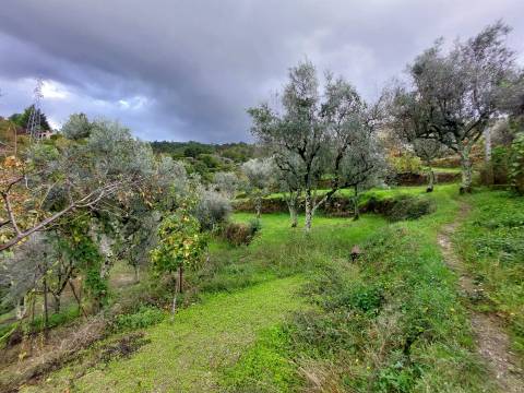 Quintinha com casa habitação