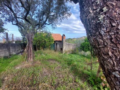 Quintinha com casa habitação