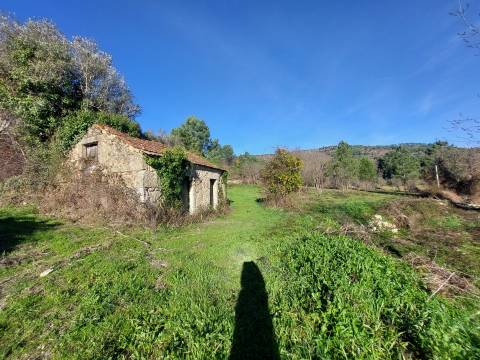 Quinta  Venda em Fornos de Algodres,Fornos de Algodres