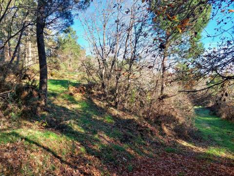 Quinta  Venda em Fornos de Algodres,Fornos de Algodres