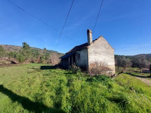 Quinta  Venda em Fornos de Algodres,Fornos de Algodres