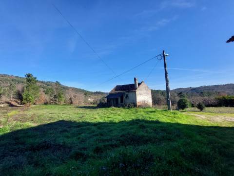 Quinta  Venda em Fornos de Algodres,Fornos de Algodres