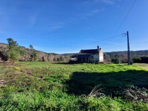 Quinta  Venda em Fornos de Algodres,Fornos de Algodres