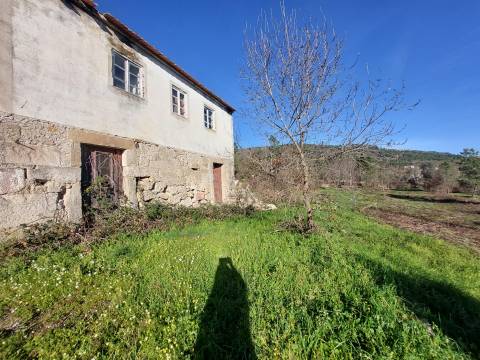 Quinta  Venda em Fornos de Algodres,Fornos de Algodres