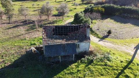Quinta  Venda em Fornos de Algodres,Fornos de Algodres