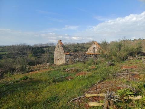 Quinta  Venda em Linhares,Celorico da Beira