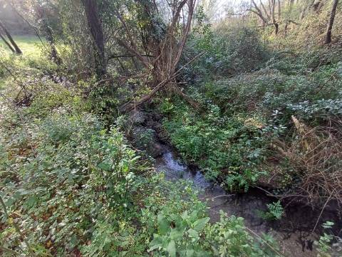 Quinta  Venda em Linhares,Celorico da Beira