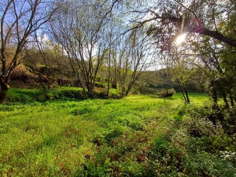Quinta  Venda em Linhares,Celorico da Beira