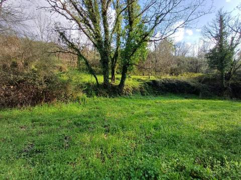 Quinta  Venda em Linhares,Celorico da Beira
