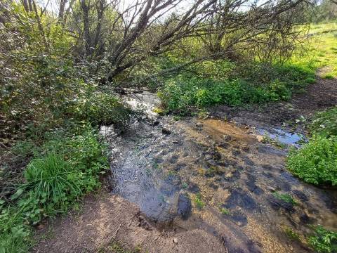 Quinta  Venda em Linhares,Celorico da Beira