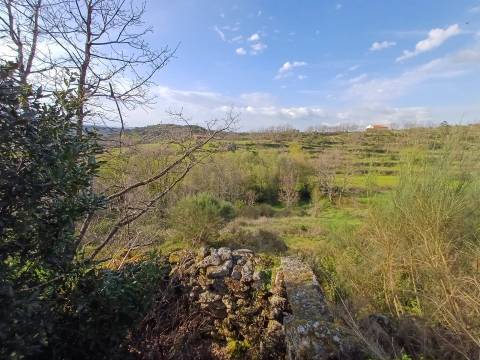 Quinta  Venda em Linhares,Celorico da Beira