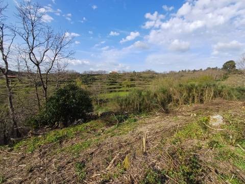 Quinta  Venda em Linhares,Celorico da Beira