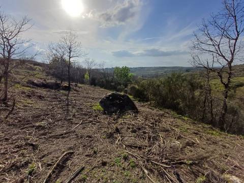Quinta  Venda em Linhares,Celorico da Beira
