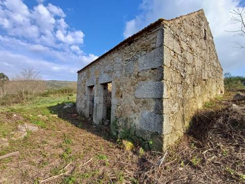 Quinta  Venda em Linhares,Celorico da Beira