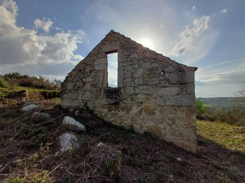 Quinta  Venda em Linhares,Celorico da Beira