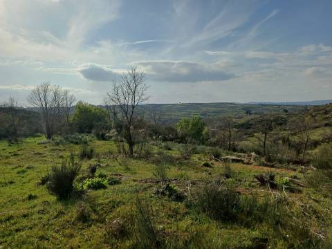 Quinta  Venda em Linhares,Celorico da Beira