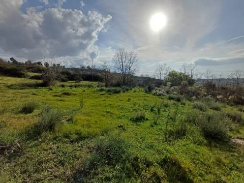 Quinta  Venda em Linhares,Celorico da Beira