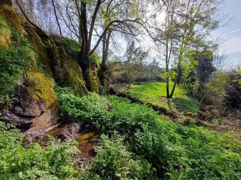 Quinta  Venda em Linhares,Celorico da Beira