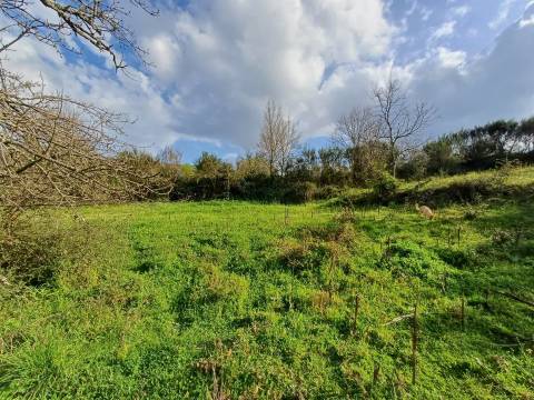 Quinta  Venda em Linhares,Celorico da Beira