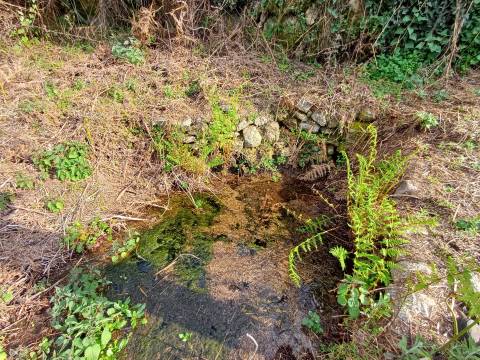 Quinta  Venda em Linhares,Celorico da Beira