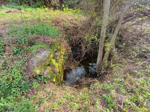 Quinta  Venda em Linhares,Celorico da Beira