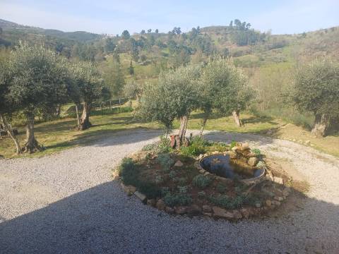 Quinta T2 Venda em Figueiró da Serra e Freixo da Serra,Gouveia