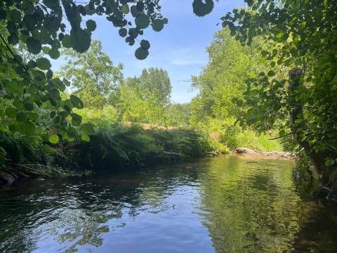 Quinta T2 Venda em Figueiró da Serra e Freixo da Serra,Gouveia