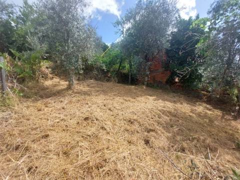 Moradia Geminada T2 Venda em Vide e Cabeça,Seia