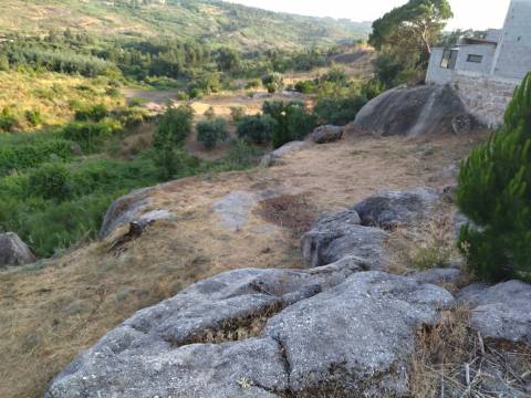Terreno Para Construção  Venda em Lagares,Oliveira do Hospital