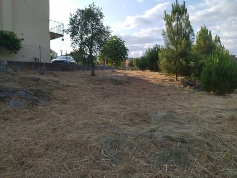 Terreno Para Construção  Venda em Lagares,Oliveira do Hospital