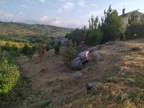 Terreno Para Construção  Venda em Lagares,Oliveira do Hospital