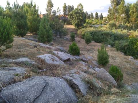 Terreno Para Construção  Venda em Lagares,Oliveira do Hospital